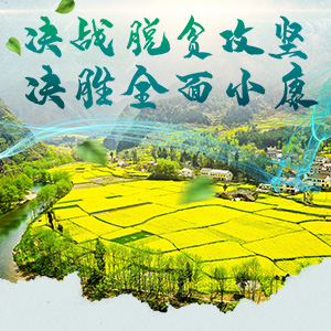 安吉影视城的楼盘后期会怎么样_安吉影视小镇_安吉影视城