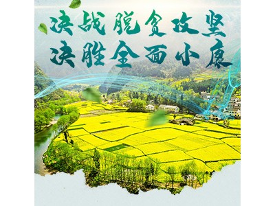 安吉：从贫穷村到绿水青山就是金山银山理论实践试点县的华丽转身